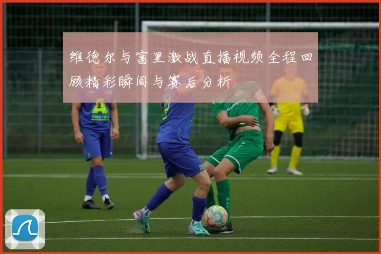 维德尔与富里激战直播视频全程回顾精彩瞬间与赛后分析