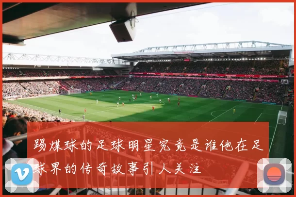 踢煤球的足球明星究竟是谁他在足球界的传奇故事引人关注