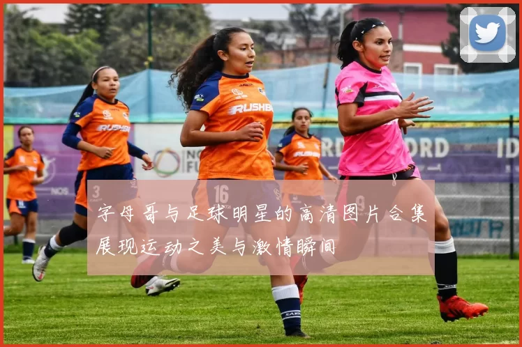 字母哥与足球明星的高清图片合集展现运动之美与激情瞬间