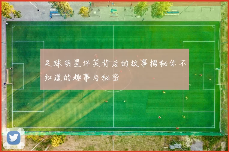 足球明星坏笑背后的故事揭秘你不知道的趣事与秘密