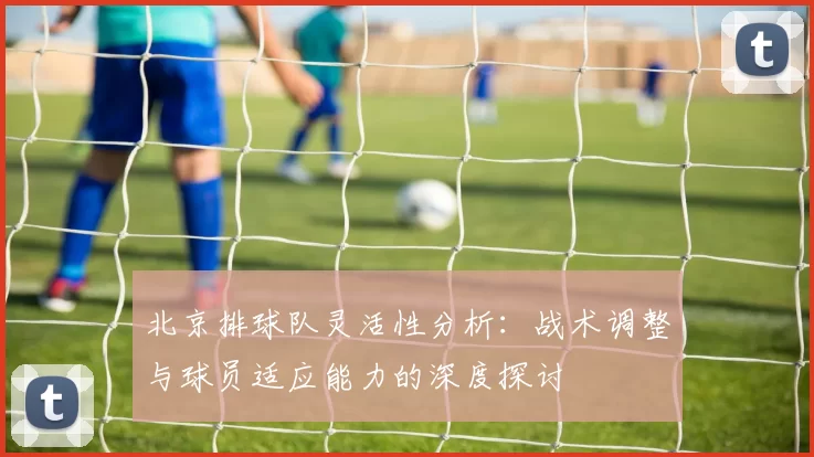 北京排球队灵活性分析：战术调整与球员适应能力的深度探讨