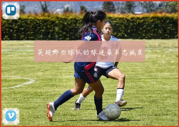 英超哪些球队的球迷最具忠诚度