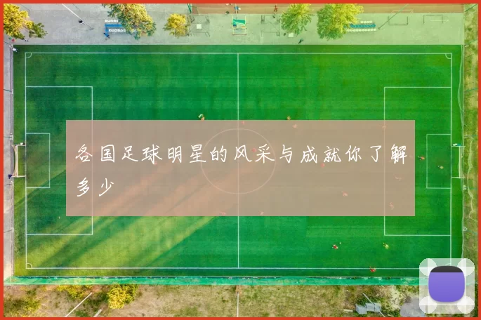 各国足球明星的风采与成就你了解多少