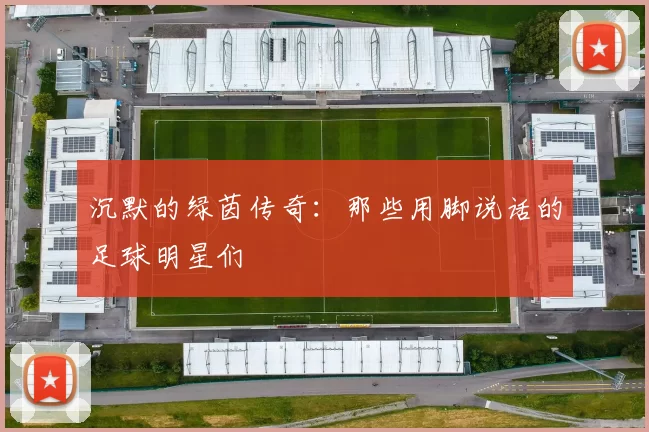 沉默的绿茵传奇：那些用脚说话的足球明星们