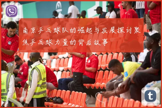 南京乒乓球队的崛起与发展探讨聚焦乒乓球力量的背后故事