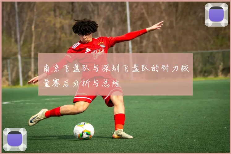 南京飞盘队与深圳飞盘队的耐力较量赛后分析与总结