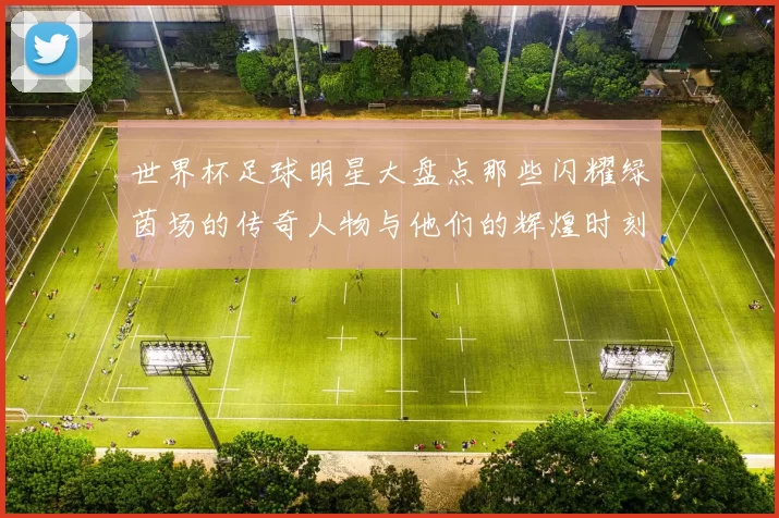 世界杯足球明星大盘点那些闪耀绿茵场的传奇人物与他们的辉煌时刻