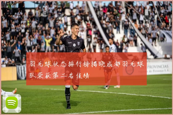 羽毛球状态排行榜揭晓成都羽毛球队荣获第二名佳绩