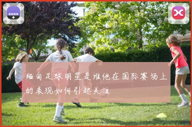 缅甸足球明星是谁他在国际赛场上的表现如何引起关注