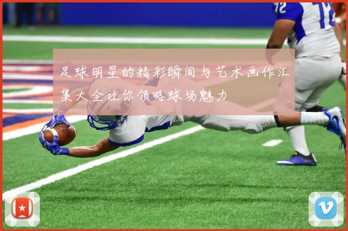 足球明星的精彩瞬间与艺术画作汇集大全让你领略球场魅力