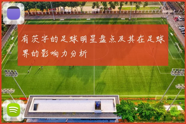 有茨字的足球明星盘点及其在足球界的影响力分析