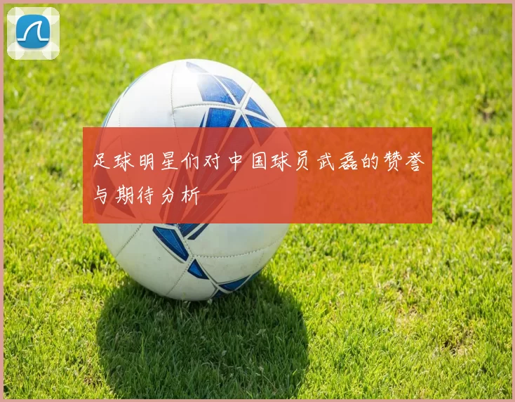 足球明星们对中国球员武磊的赞誉与期待分析