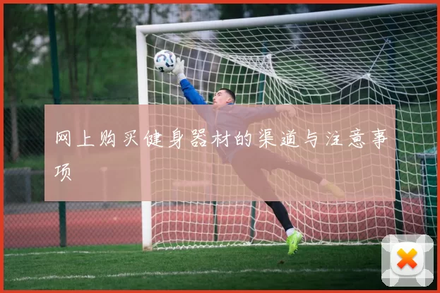 网上购买健身器材的渠道与注意事项