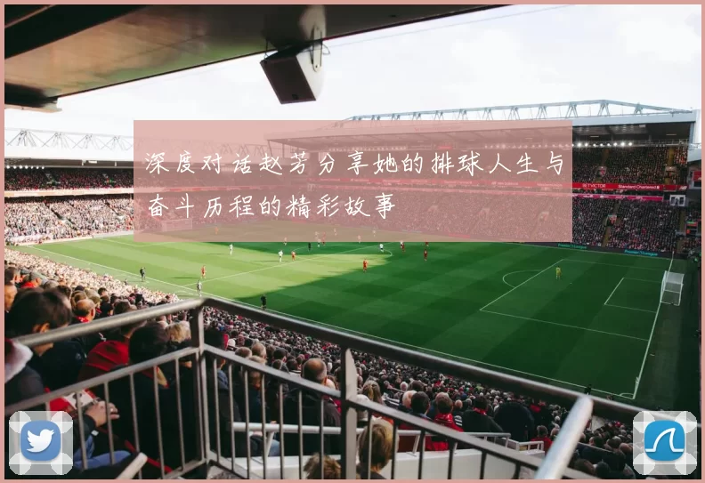 深度对话赵芳分享她的排球人生与奋斗历程的精彩故事