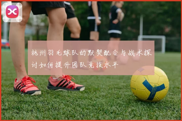 杭州羽毛球队的默契配合与战术探讨如何提升团队竞技水平