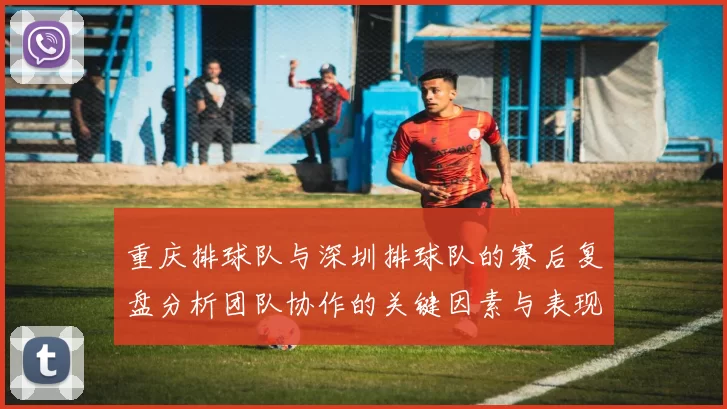 重庆排球队与深圳排球队的赛后复盘分析团队协作的关键因素与表现