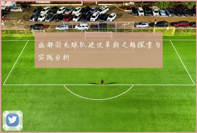 成都羽毛球队进攻革新之路探索与实践分析